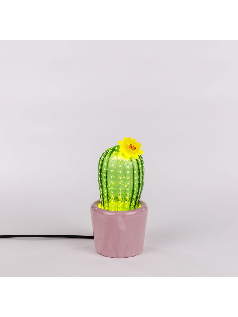 seletti-marcantonio-desert-sunrise-pink-vase-lighting-cactusr_048